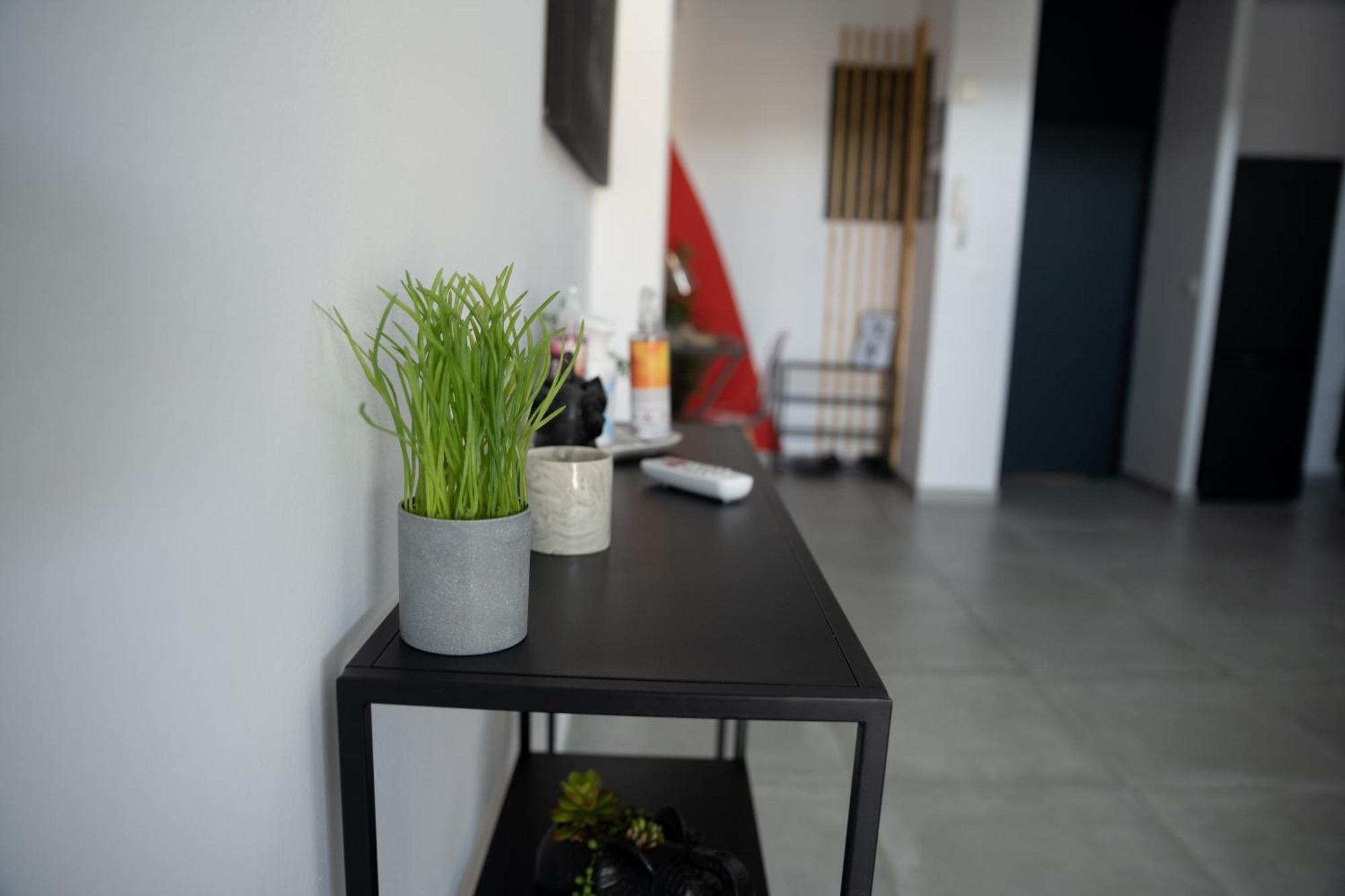 Appartamento L'Elegance Citadine Cayenne Esterno foto